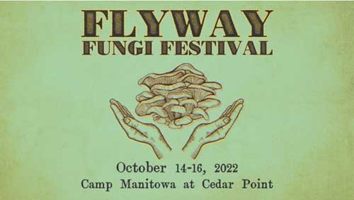 Image of Fungi Festival 2022