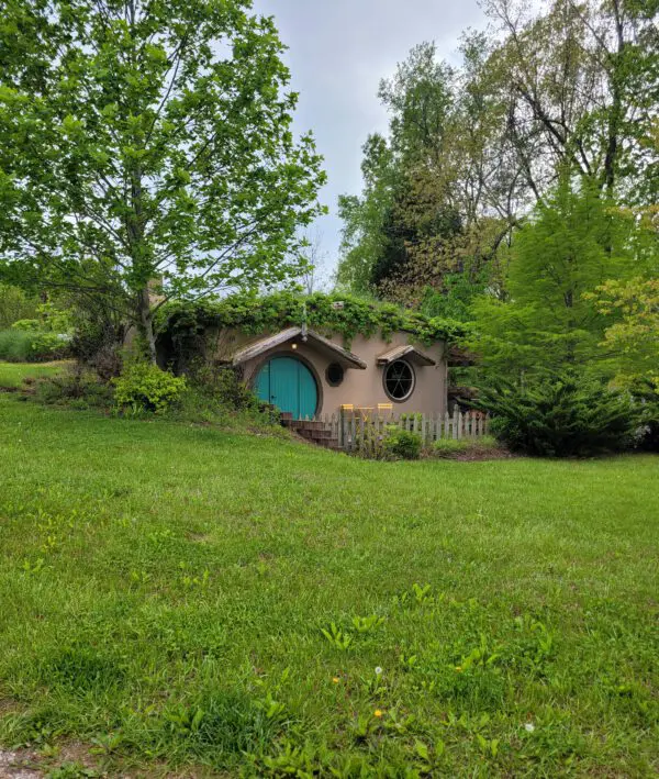 Hobbit style cabin with round blue door and living roof, nestled in the Shawnee National Forest.