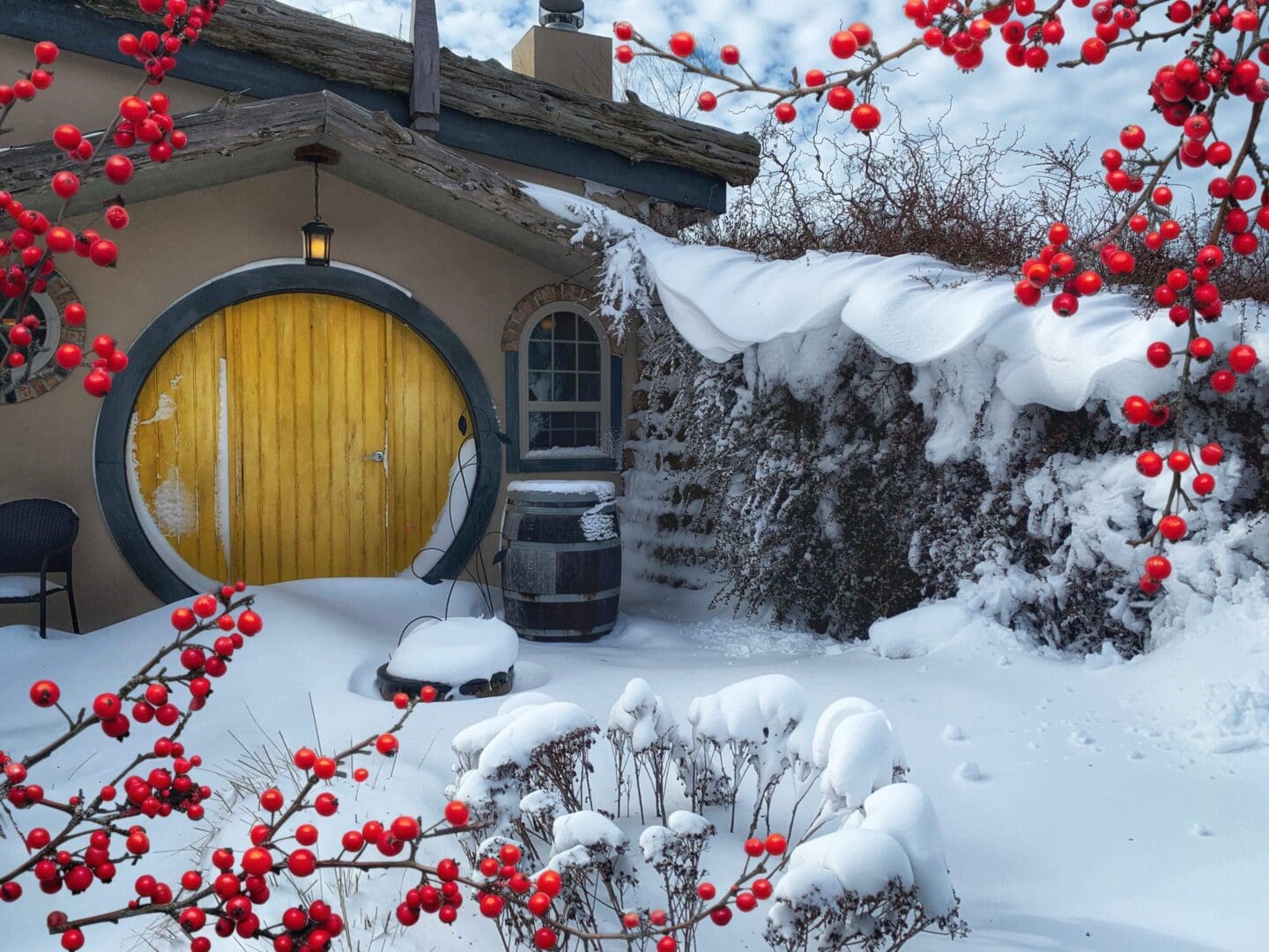 A house with snow on the ground and bushes