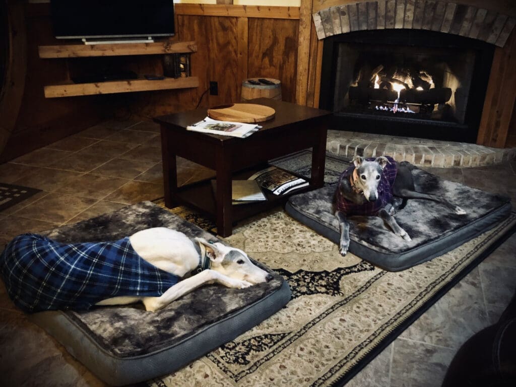 Two greyhound dogs laying on their beds beside the fire at the cozy Cove Cabin