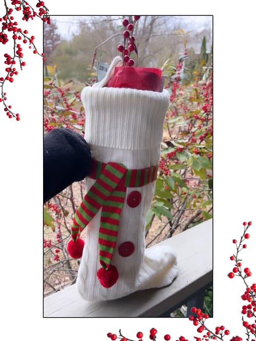 White Christmas stocking with a red ribbon surrounded by outdoor holly berries.