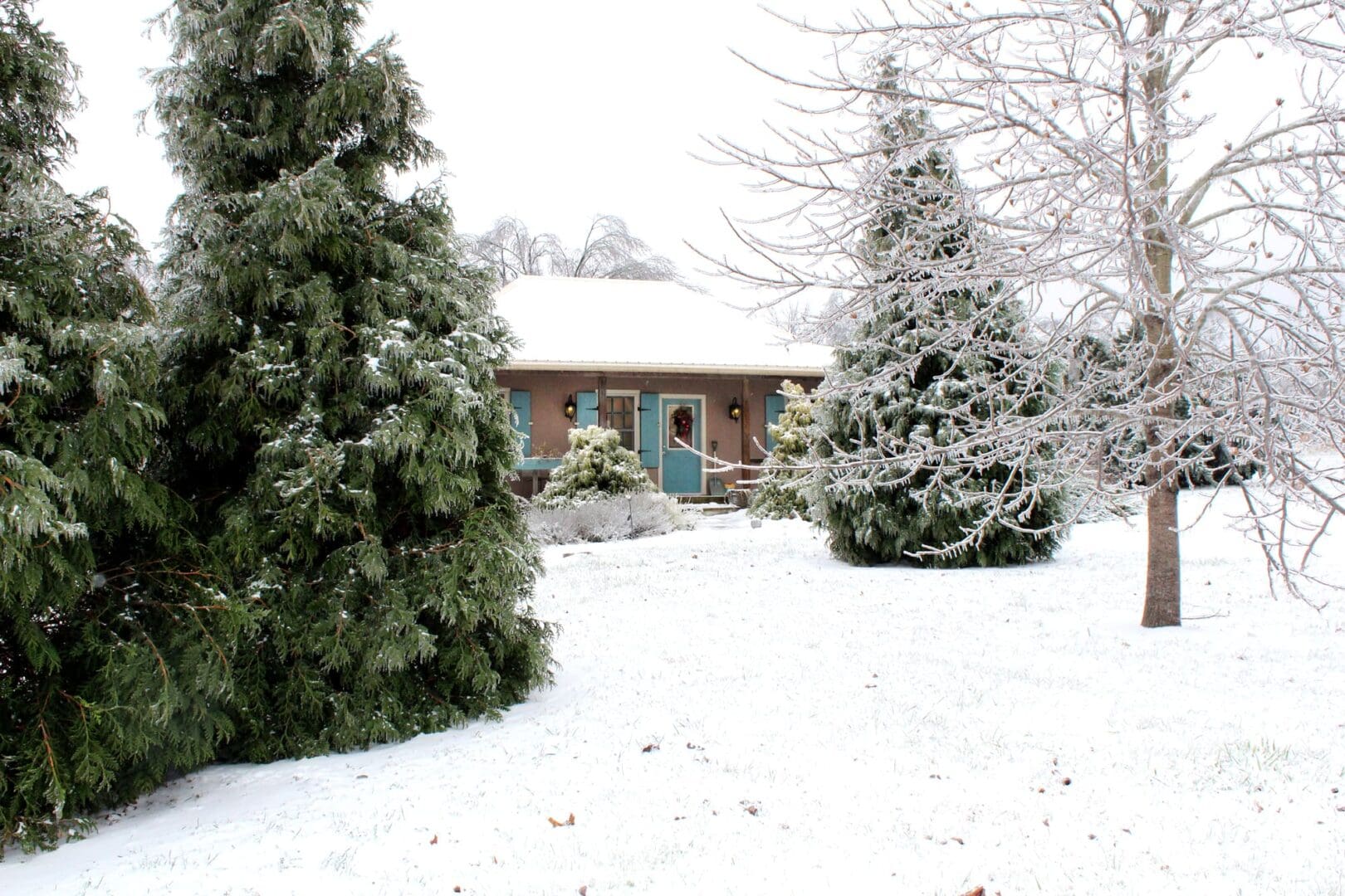 Cabin with blue French shutters and Christmas wreath surrounded by a snowy landscape.